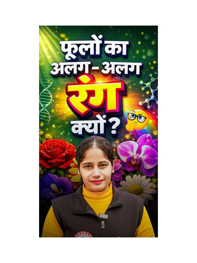 How Flowers Get Their Colours Explained