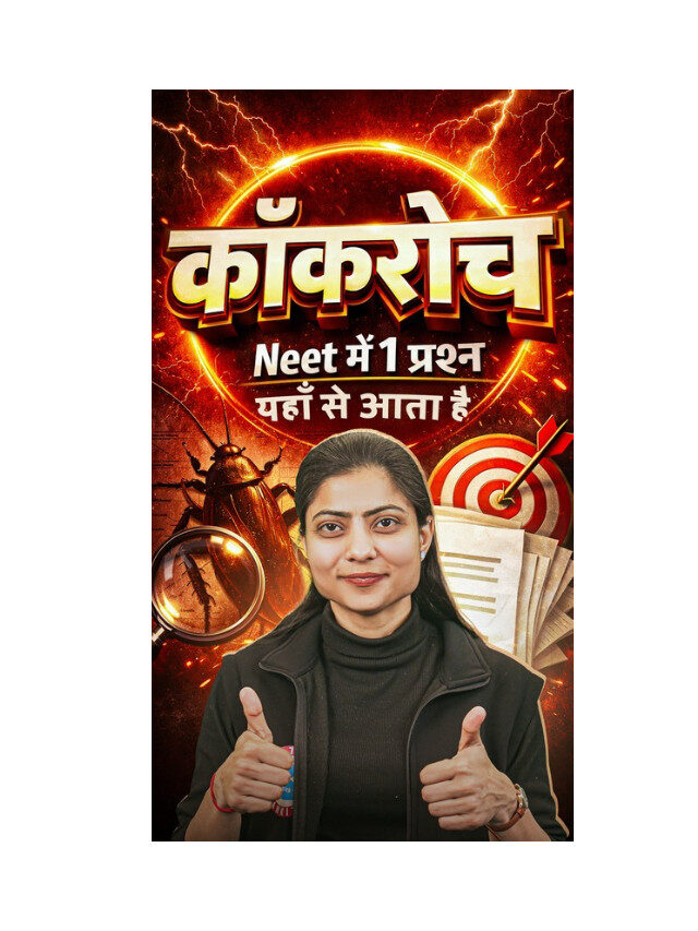 All About Cockroach Explained in One Video