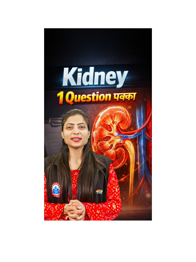 Human Kidney: Quick Facts You Should Know