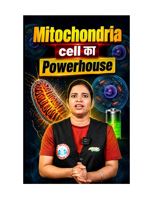 Why Is Mitochondria Called the Powerhouse of the Cell?