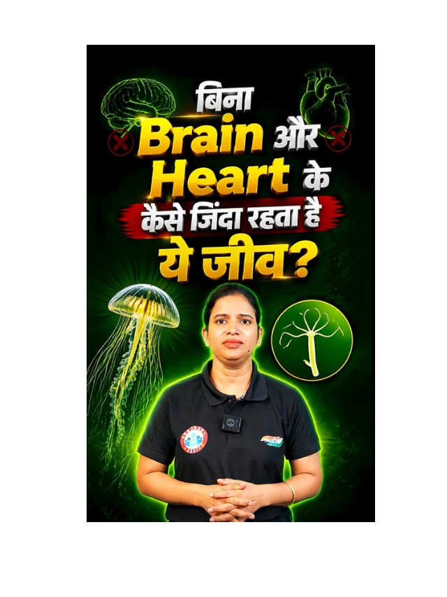 Life Without a Heart or Brain: Is It Really Possible?